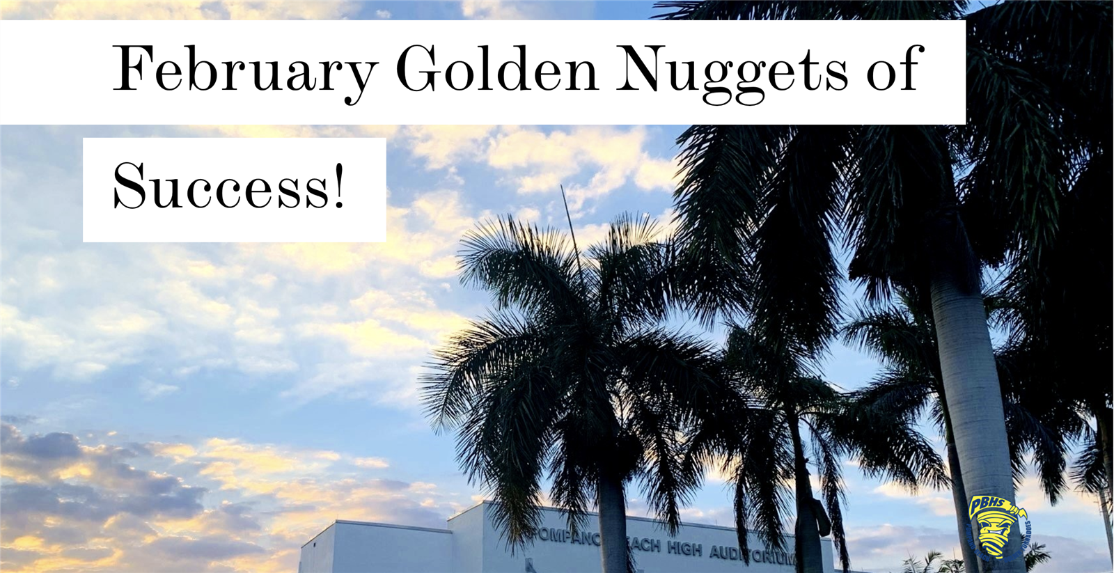  February Golden Nuggets of Success